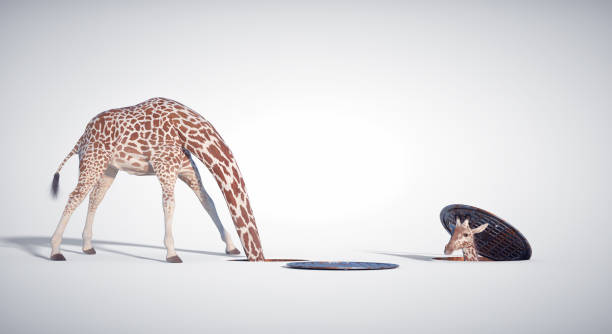 3D-illustratie van een giraffe die zijn hoofd door een gat steekt en ergens anders weer verschijnt, als symbool voor nieuwsgierigheid, creativiteit en unieke events.